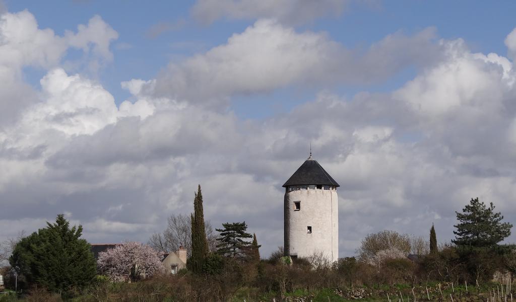 Au Moulin Geant Bed and Breakfast Rochefort-sur-Loire Eksteriør billede